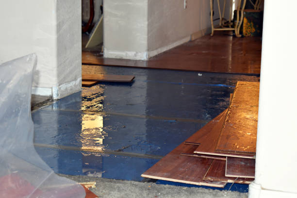 Professional Basement Flood Cleanup technician working in Eau Claire, WI